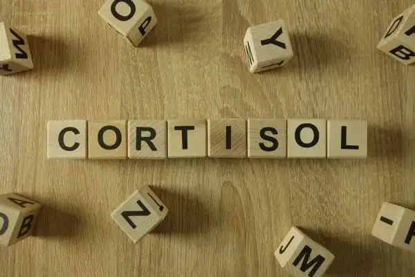 The Hidden Connection: How Stress Shapes Your Fitness and Body Composition 2 Image saying "Cortisol" and how stress East Grinstead impacts your wellbeing and bodies shape